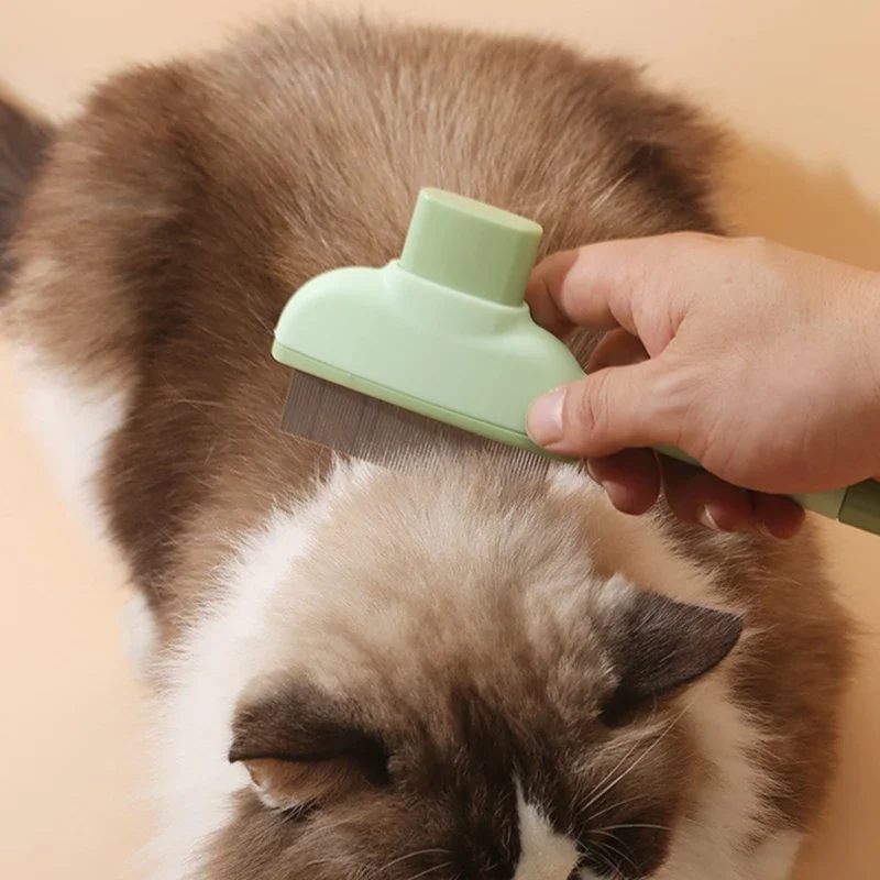 Haustier Katze Kamm Katze und  – Makeup Beauty Ro Bewertung und Preis